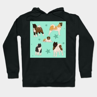 Akita American Pattern Seafoam Hoodie